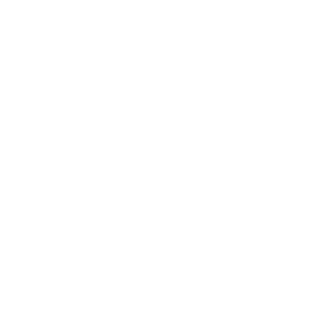 H2 Portable