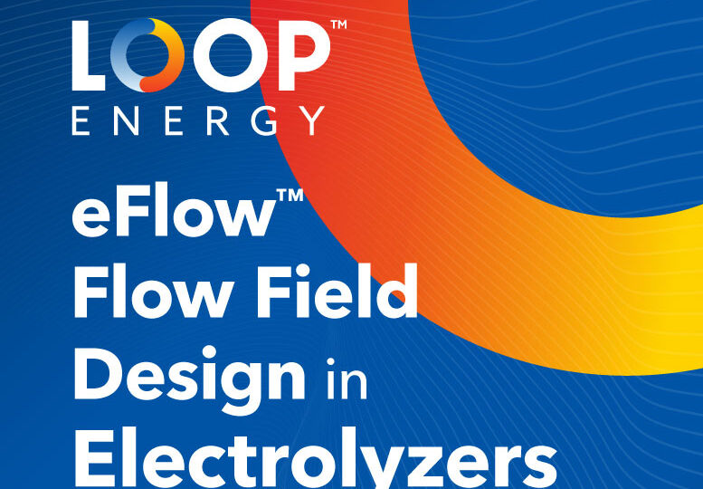 electrolyzers-flow-field-FI